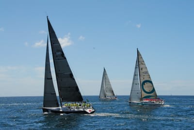 DSC_2584.JPG