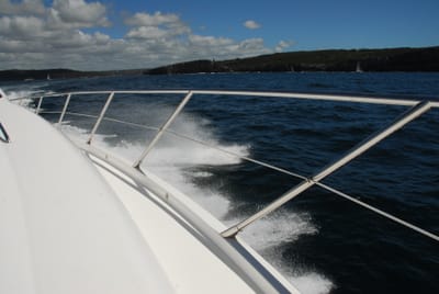 DSC_2592.JPG