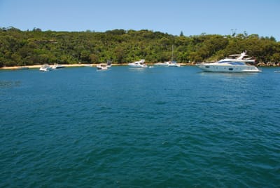 DSC_2639.JPG