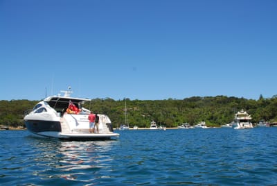 DSC_2663.JPG