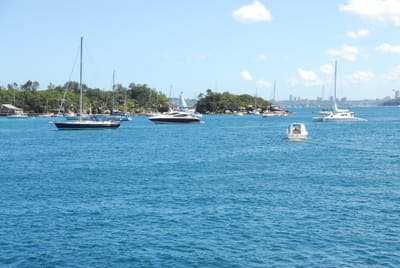 DSC_2668.JPG