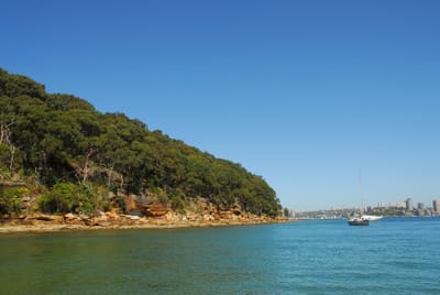 DSC_1765.JPG