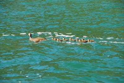 DSC_1766.JPG