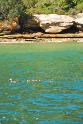 DSC_1768.JPG