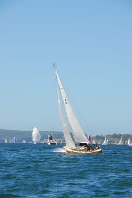DSC_1771.JPG