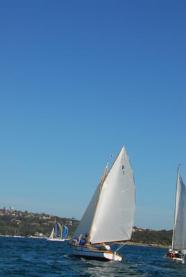 DSC_1774.JPG