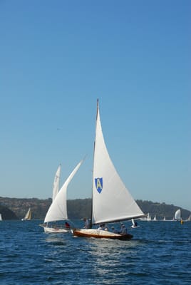 DSC_1785.JPG