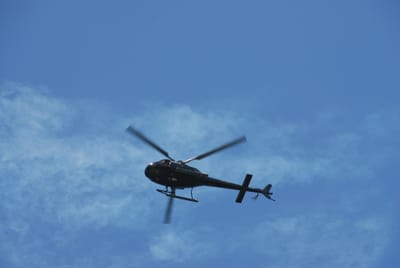 DSC_7587.JPG