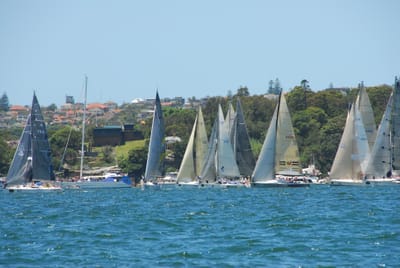 DSC_7590.JPG