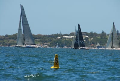 DSC_7591.JPG