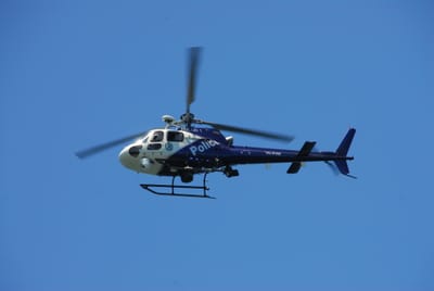DSC_7593.JPG