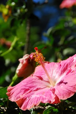 DSC_8827.JPG