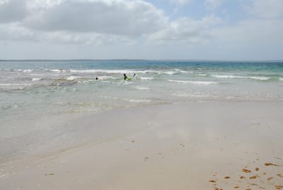 DSC_7790.JPG