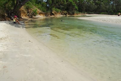 DSC_7798.JPG