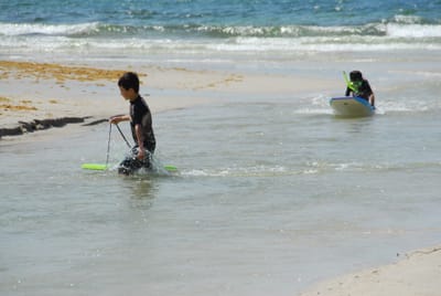 DSC_7802.JPG