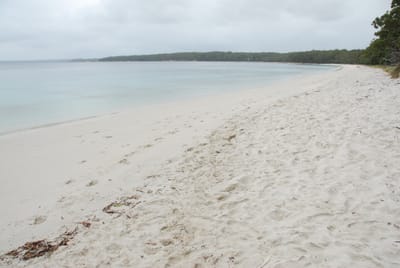 DSC_7809.JPG
