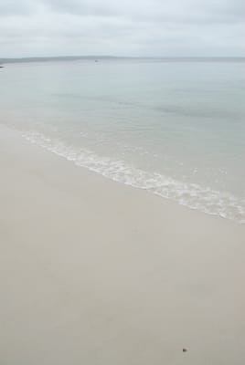 DSC_7810.JPG