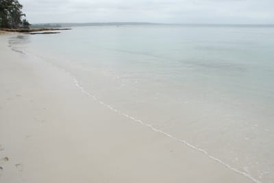DSC_7811.JPG