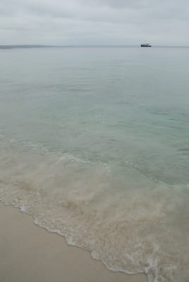 DSC_7816.JPG