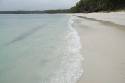 DSC_7822.JPG