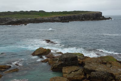 DSC_7831.JPG