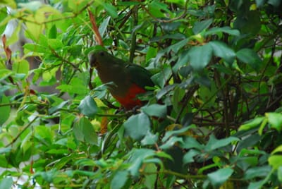 DSC_7835.JPG