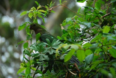DSC_7836.JPG