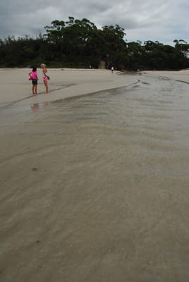 DSC_7851.JPG