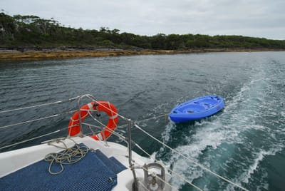DSC_7875.JPG