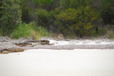 DSC_7888.JPG