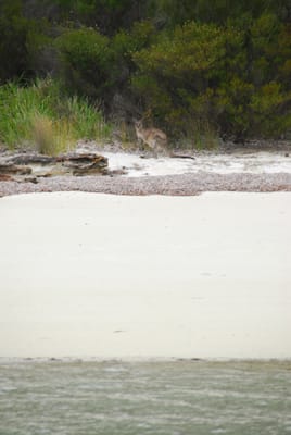 DSC_7889.JPG