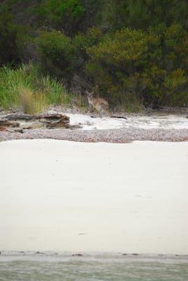 DSC_7890.JPG