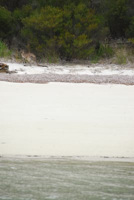 DSC_7891.JPG