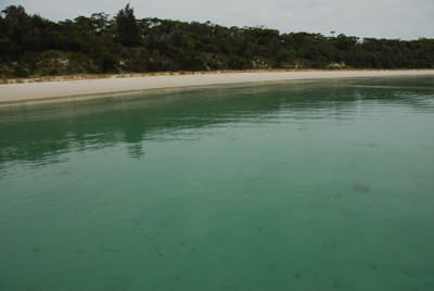 DSC_7898.JPG