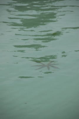 DSC_7901.JPG