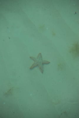 DSC_7903.JPG
