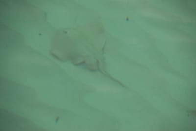 DSC_7941.JPG