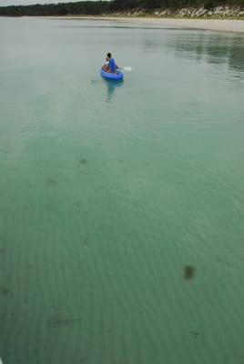 DSC_7942.JPG