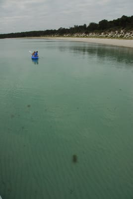 DSC_7943.JPG