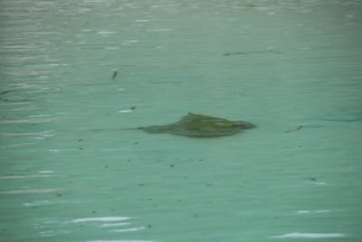 DSC_7947.JPG