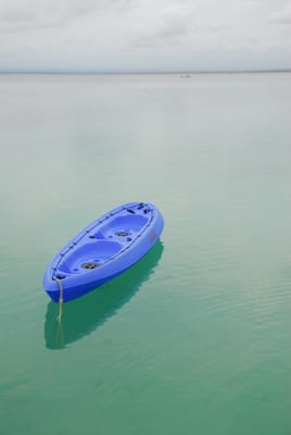 DSC_7954.JPG