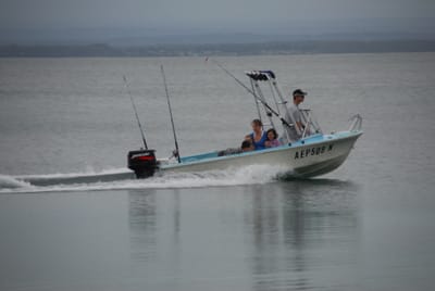 DSC_7958.JPG