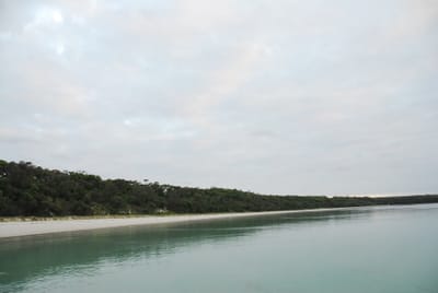 DSC_7962.JPG