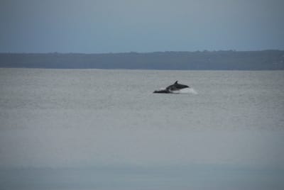 DSC_7968.JPG