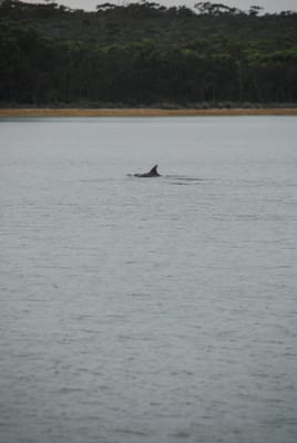 DSC_7975.JPG