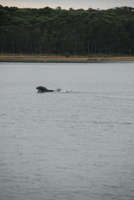 DSC_7976.JPG