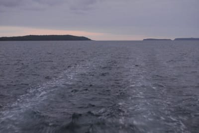 DSC_8002.JPG