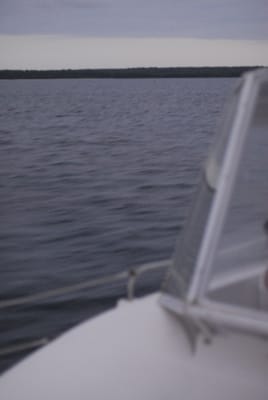 DSC_8004.JPG