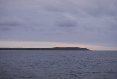 DSC_8007.JPG