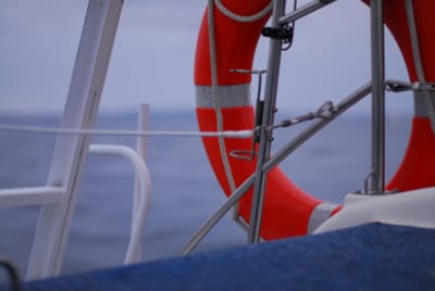 DSC_8012.JPG